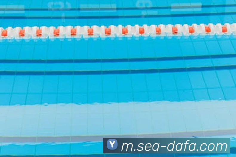 大发彩票APP 体育赛事宣传图